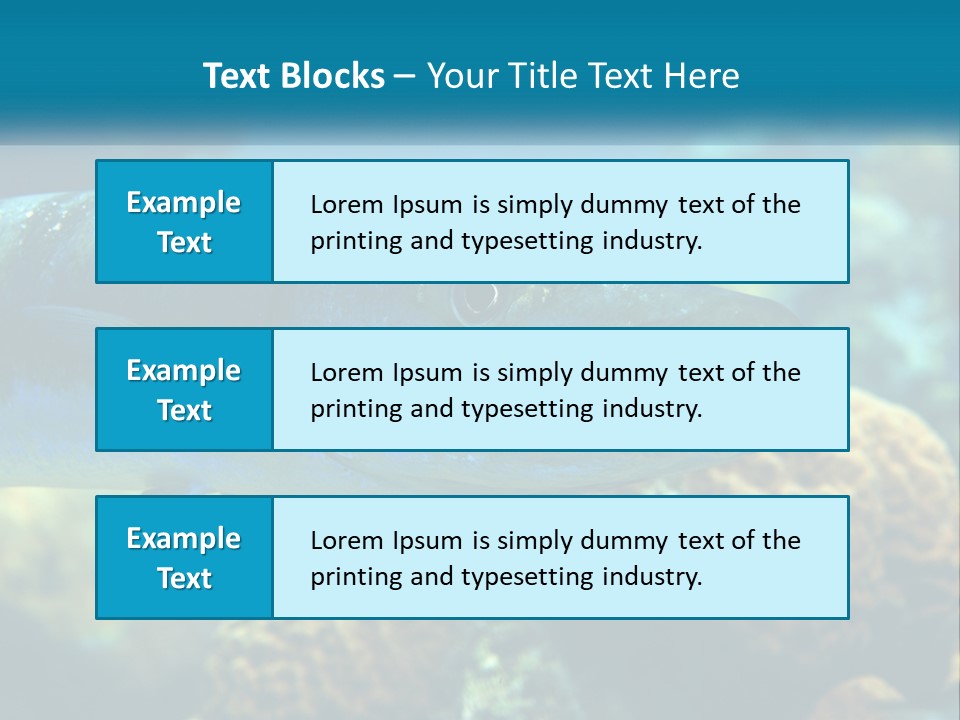 A Large Fish Is Swimming In The Water PowerPoint Template