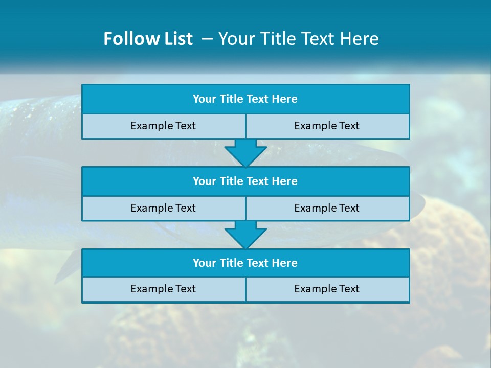 A Large Fish Is Swimming In The Water PowerPoint Template