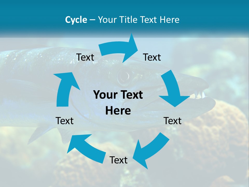 A Large Fish Is Swimming In The Water PowerPoint Template