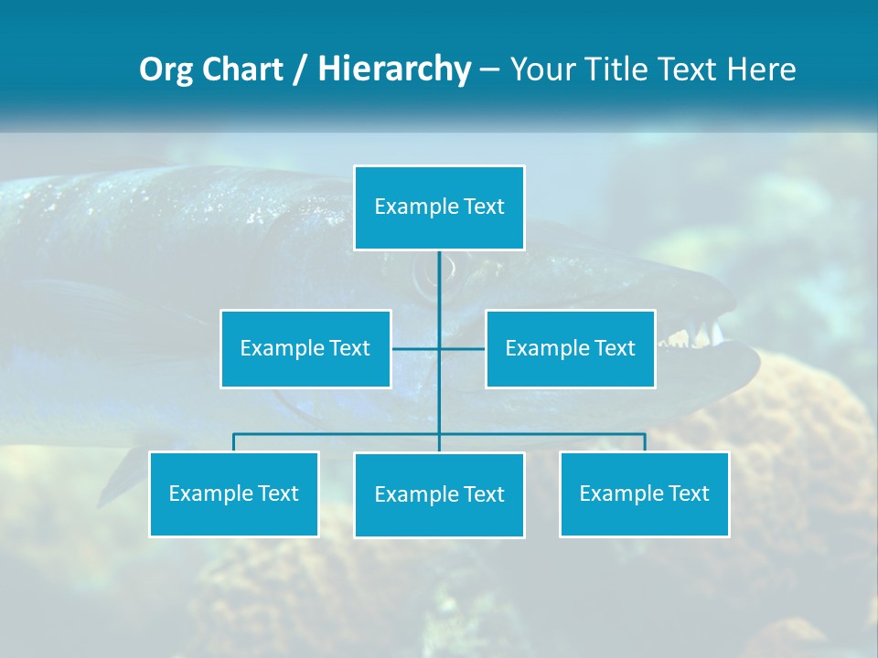 A Large Fish Is Swimming In The Water PowerPoint Template