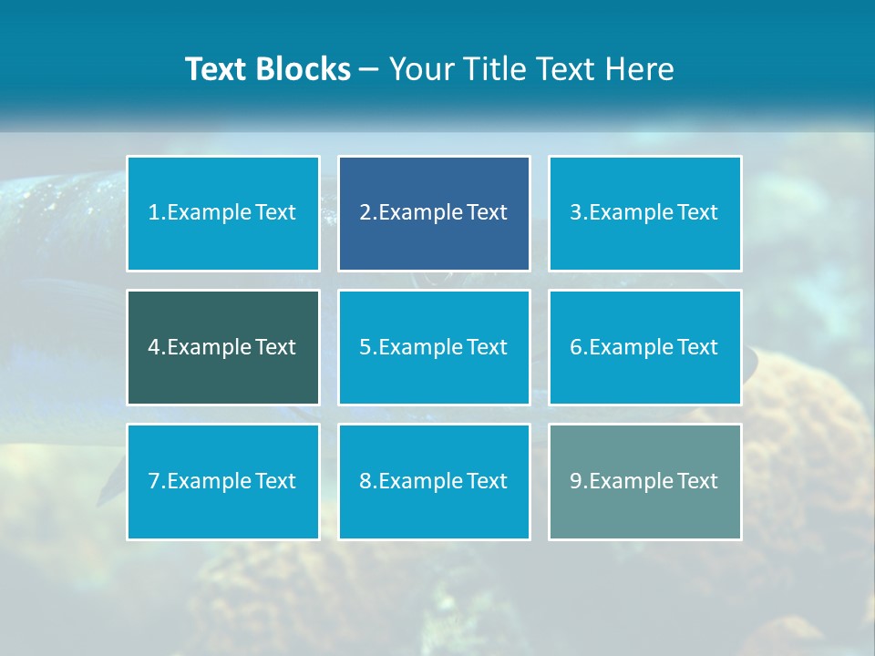 A Large Fish Is Swimming In The Water PowerPoint Template