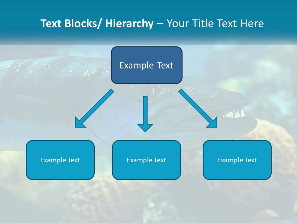 A Large Fish Is Swimming In The Water PowerPoint Template