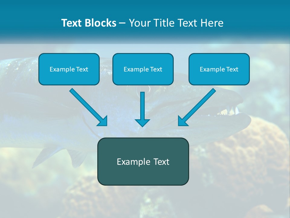 A Large Fish Is Swimming In The Water PowerPoint Template