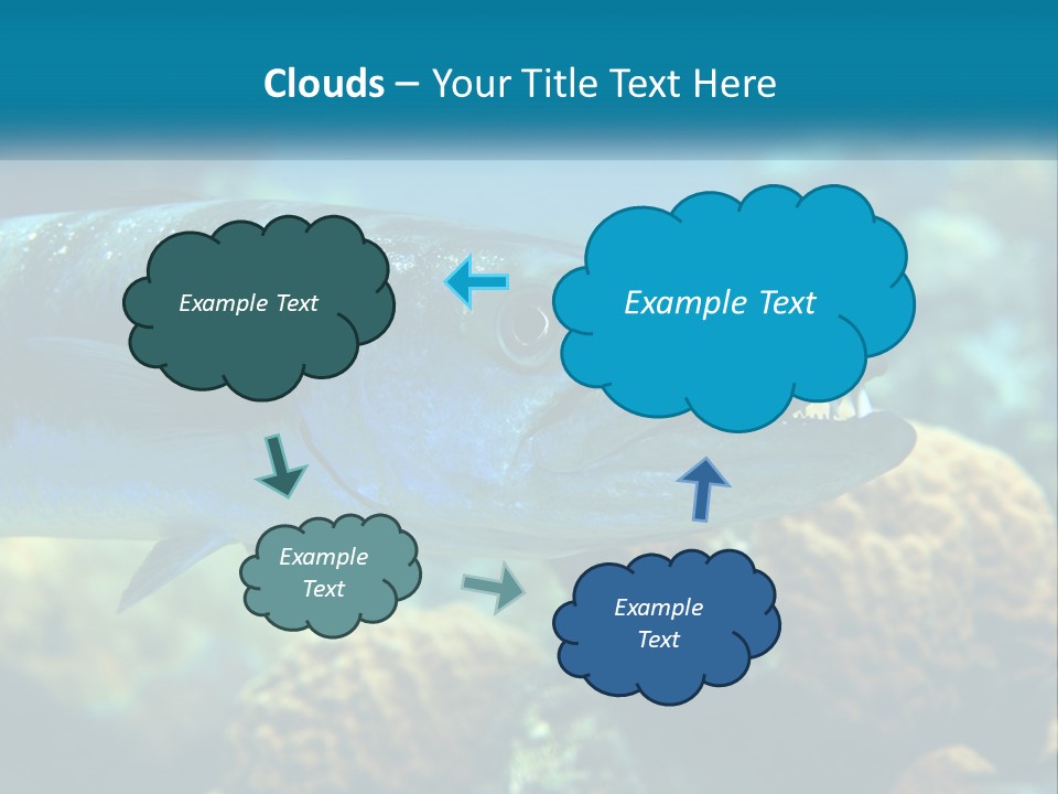 A Large Fish Is Swimming In The Water PowerPoint Template