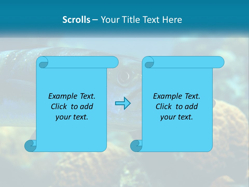 A Large Fish Is Swimming In The Water PowerPoint Template