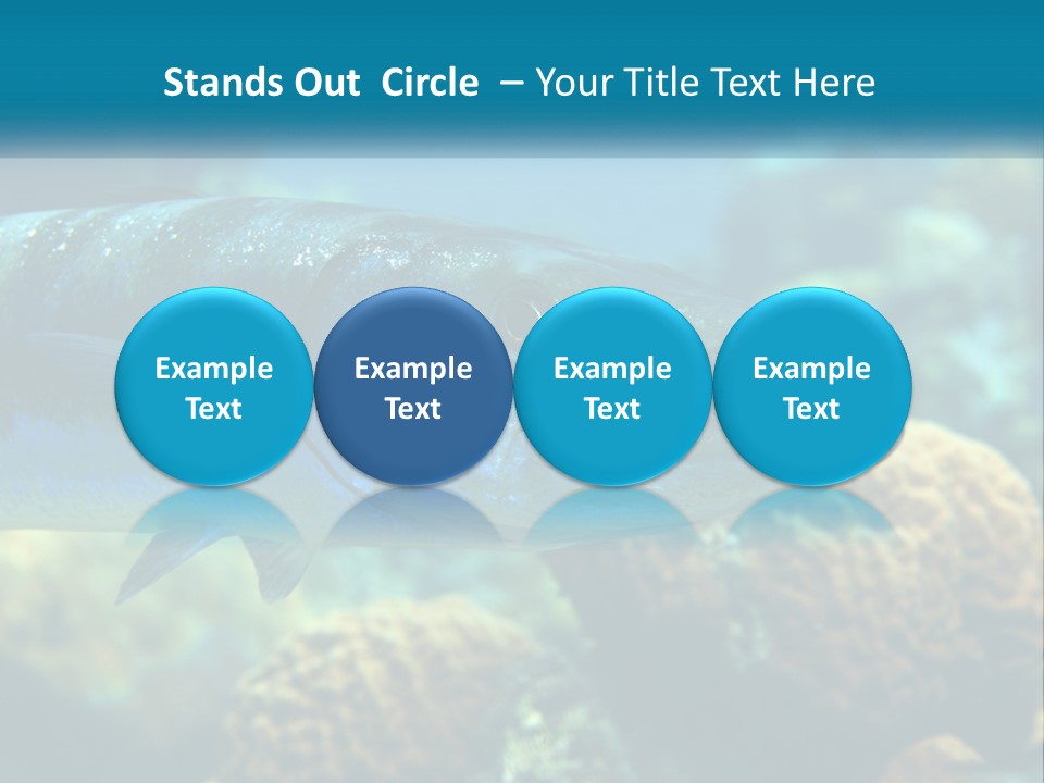 A Large Fish Is Swimming In The Water PowerPoint Template