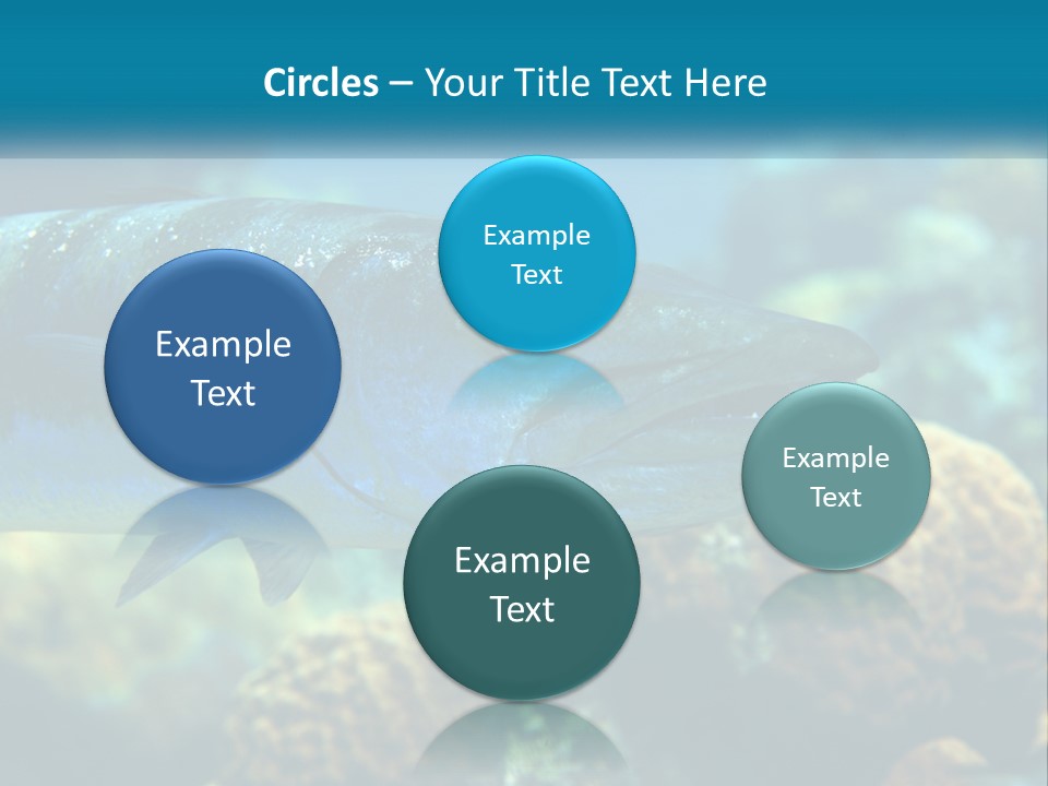 A Large Fish Is Swimming In The Water PowerPoint Template