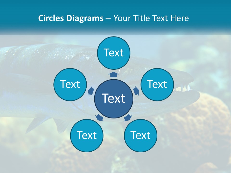 A Large Fish Is Swimming In The Water PowerPoint Template