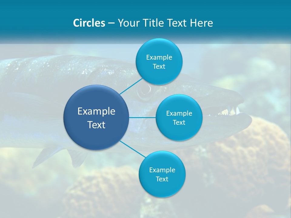 A Large Fish Is Swimming In The Water PowerPoint Template