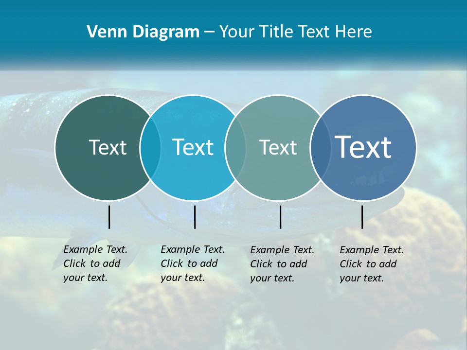 A Large Fish Is Swimming In The Water PowerPoint Template