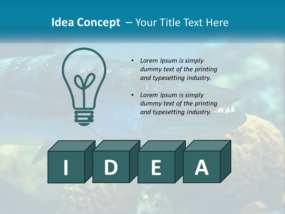 A Large Fish Is Swimming In The Water PowerPoint Template