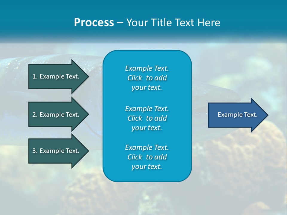 A Large Fish Is Swimming In The Water PowerPoint Template