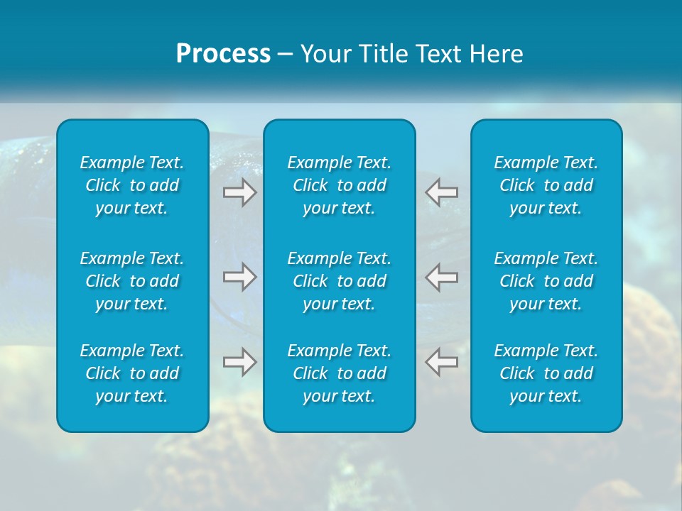 A Large Fish Is Swimming In The Water PowerPoint Template