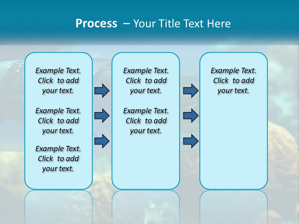 A Large Fish Is Swimming In The Water PowerPoint Template