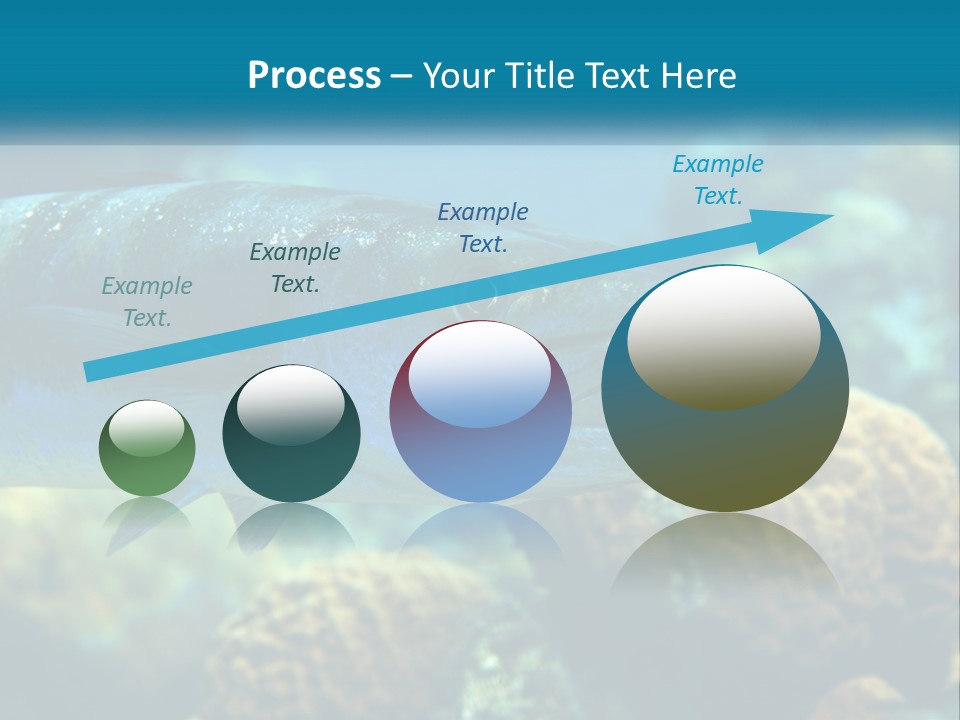 A Large Fish Is Swimming In The Water PowerPoint Template