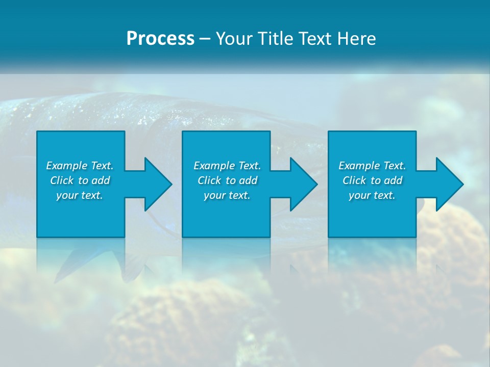 A Large Fish Is Swimming In The Water PowerPoint Template
