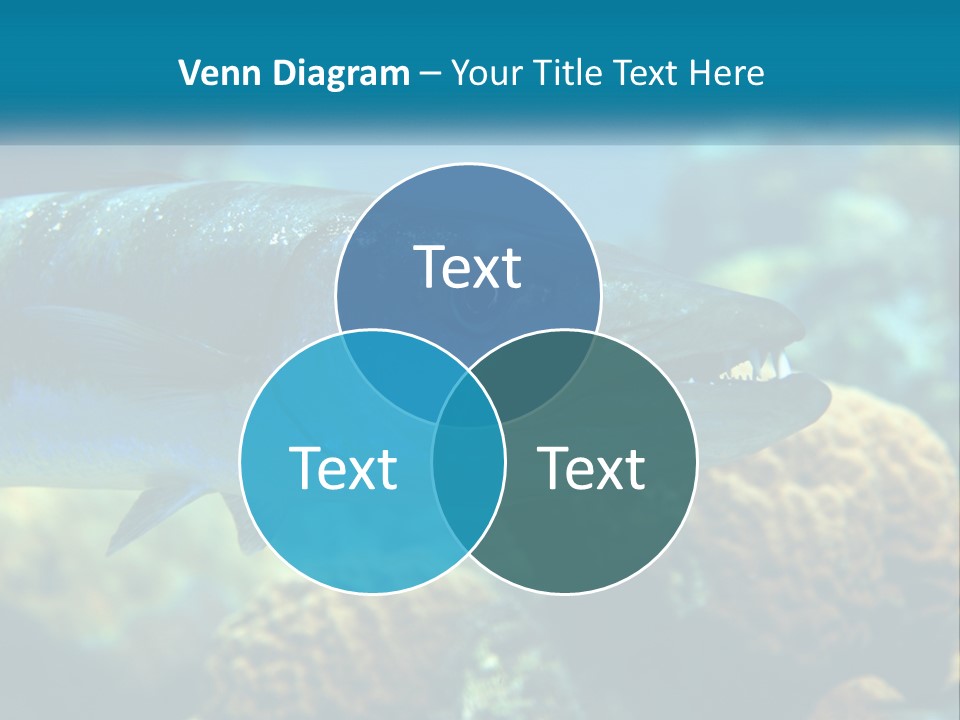 A Large Fish Is Swimming In The Water PowerPoint Template