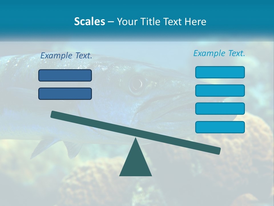 A Large Fish Is Swimming In The Water PowerPoint Template