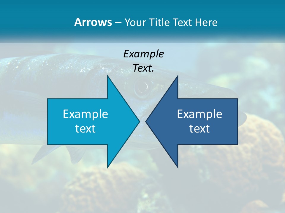 A Large Fish Is Swimming In The Water PowerPoint Template