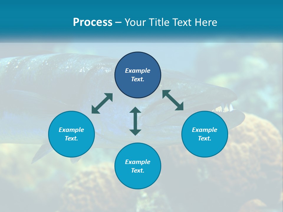A Large Fish Is Swimming In The Water PowerPoint Template