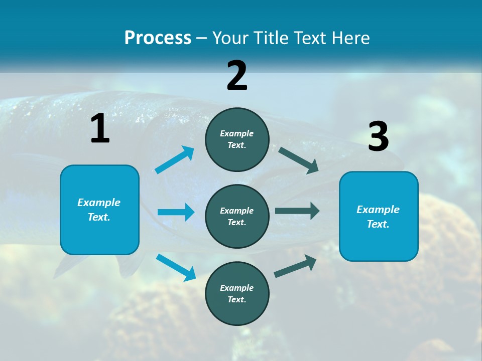 A Large Fish Is Swimming In The Water PowerPoint Template