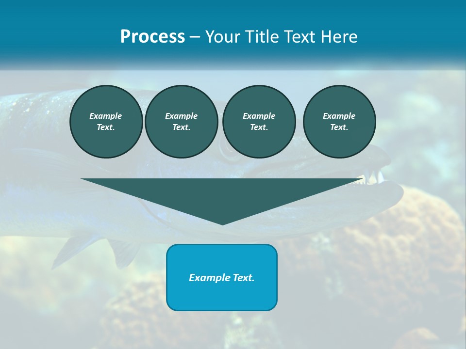 A Large Fish Is Swimming In The Water PowerPoint Template