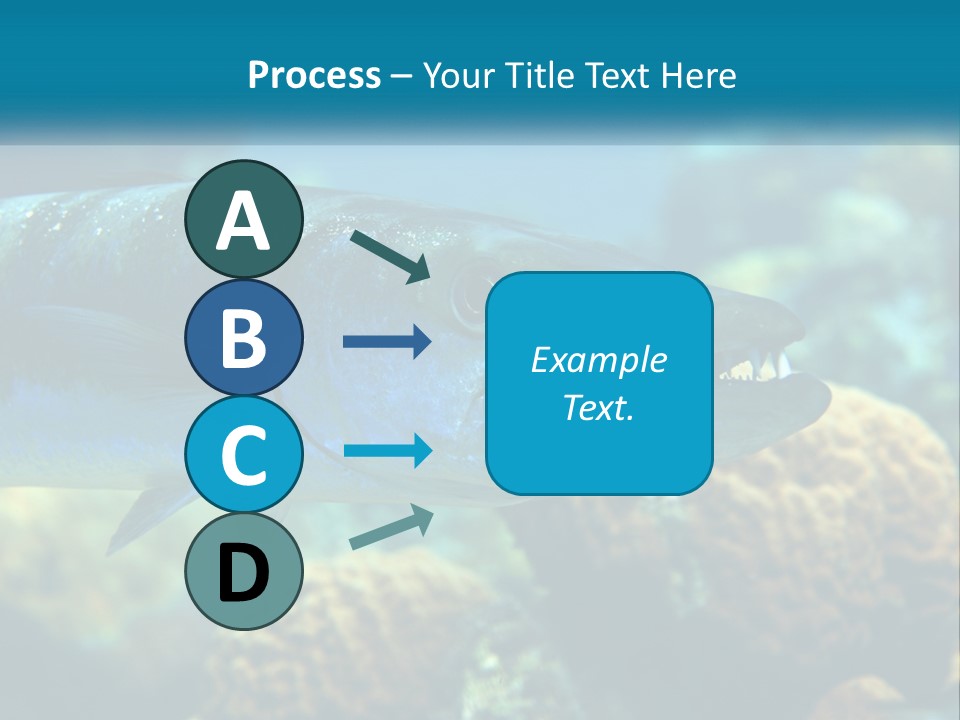 A Large Fish Is Swimming In The Water PowerPoint Template