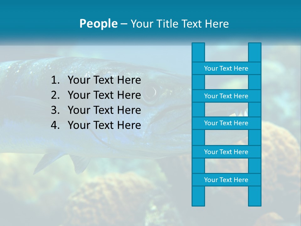 A Large Fish Is Swimming In The Water PowerPoint Template