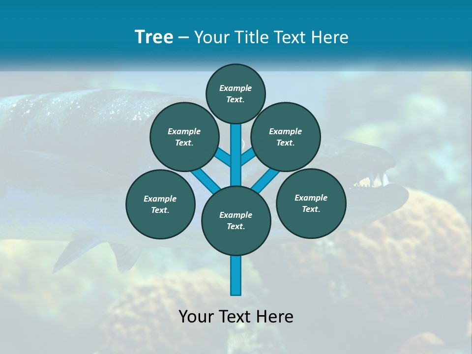 A Large Fish Is Swimming In The Water PowerPoint Template