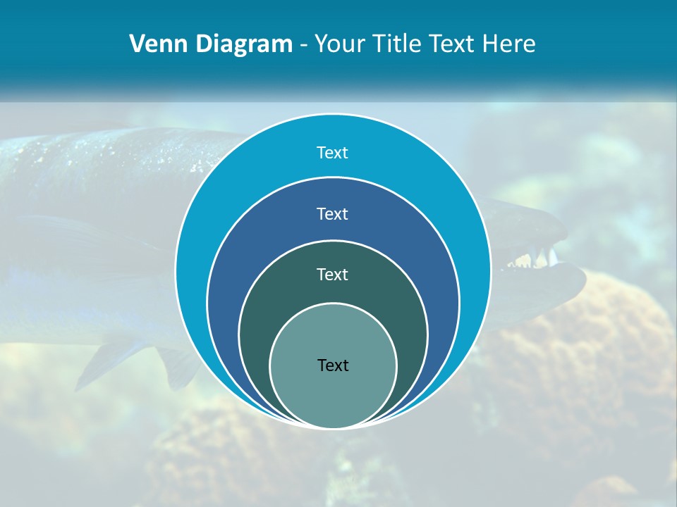 A Large Fish Is Swimming In The Water PowerPoint Template