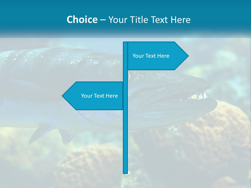 A Large Fish Is Swimming In The Water PowerPoint Template