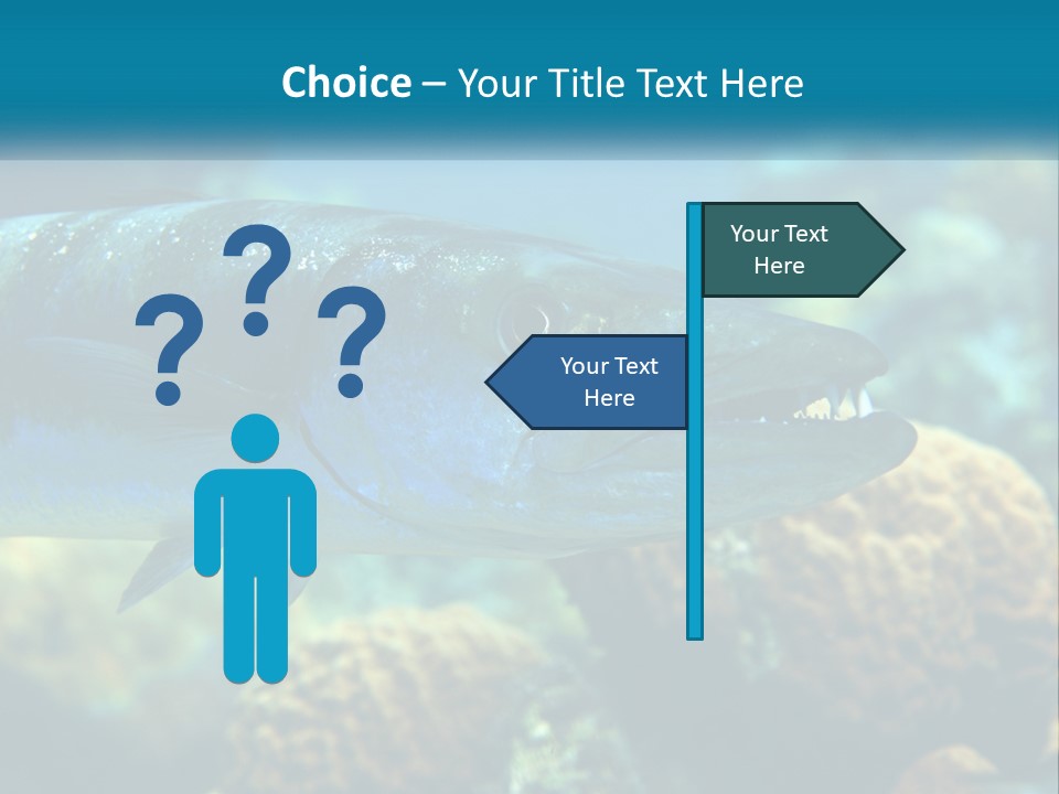 A Large Fish Is Swimming In The Water PowerPoint Template