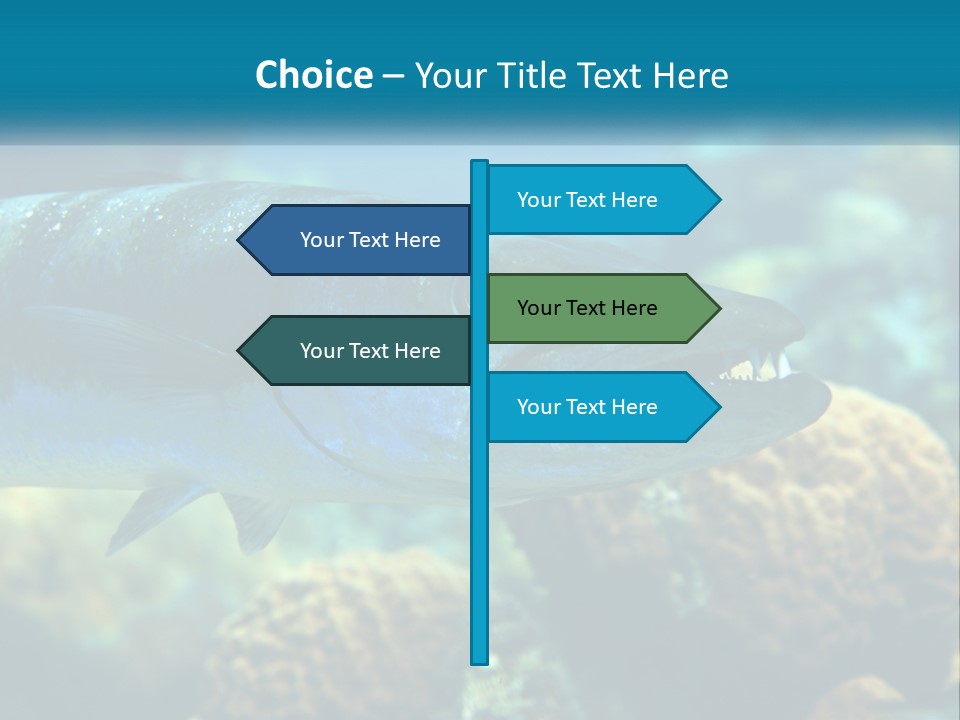 A Large Fish Is Swimming In The Water PowerPoint Template