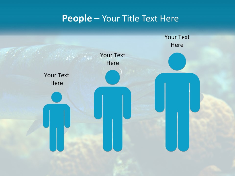 A Large Fish Is Swimming In The Water PowerPoint Template