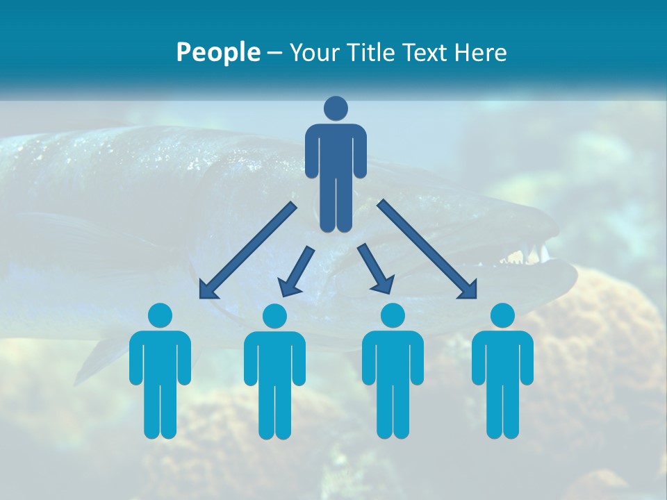 A Large Fish Is Swimming In The Water PowerPoint Template