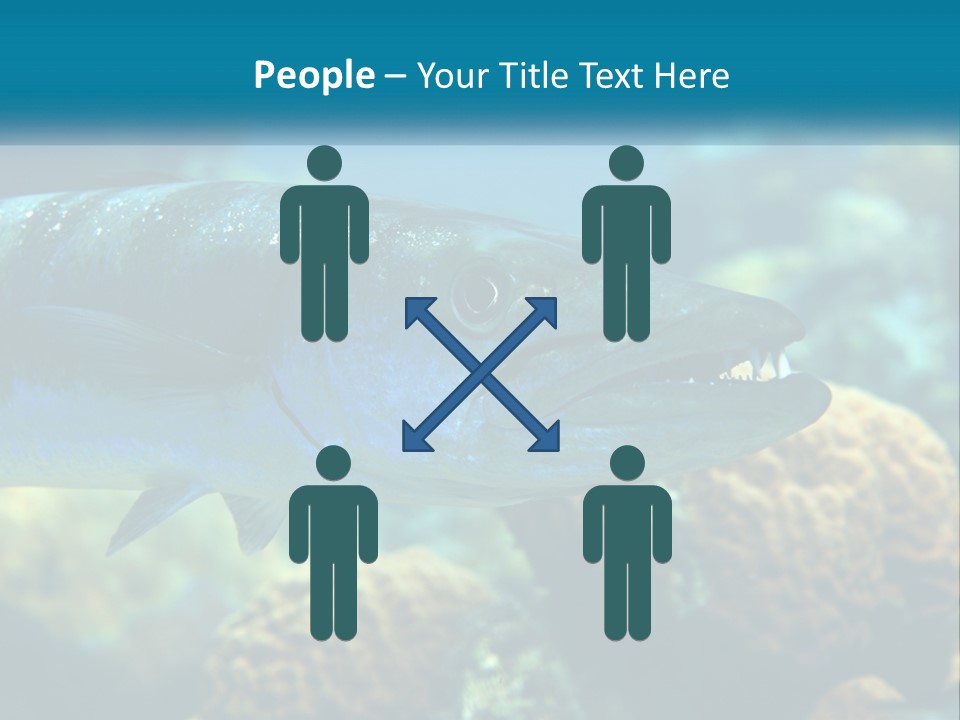 A Large Fish Is Swimming In The Water PowerPoint Template