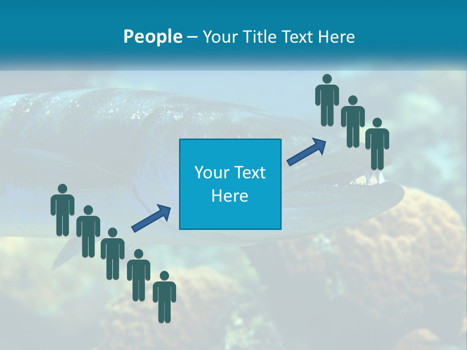 A Large Fish Is Swimming In The Water PowerPoint Template