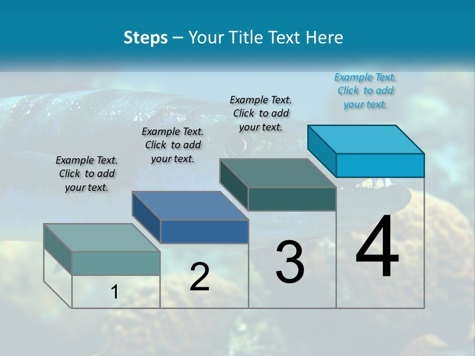 A Large Fish Is Swimming In The Water PowerPoint Template