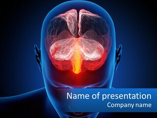 A Human Head With The Brain Highlighted In Red PowerPoint Template