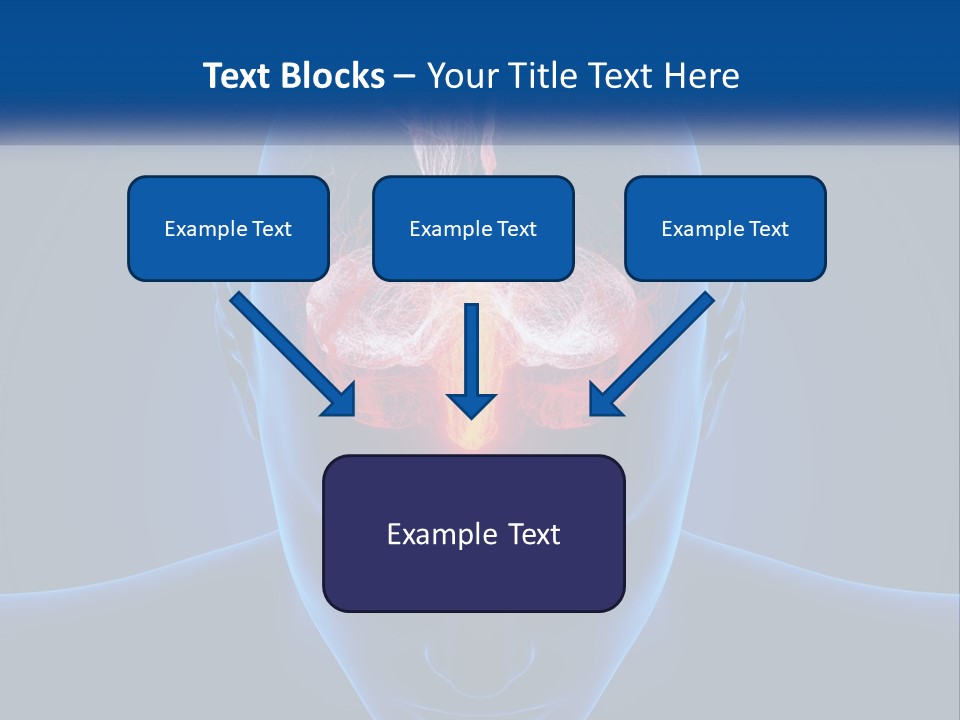 A Human Head With The Brain Highlighted In Red PowerPoint Template