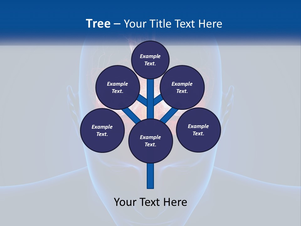A Human Head With The Brain Highlighted In Red PowerPoint Template