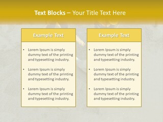 A Group Of Men In Blue And Yellow Work On A Construction Site PowerPoint Template