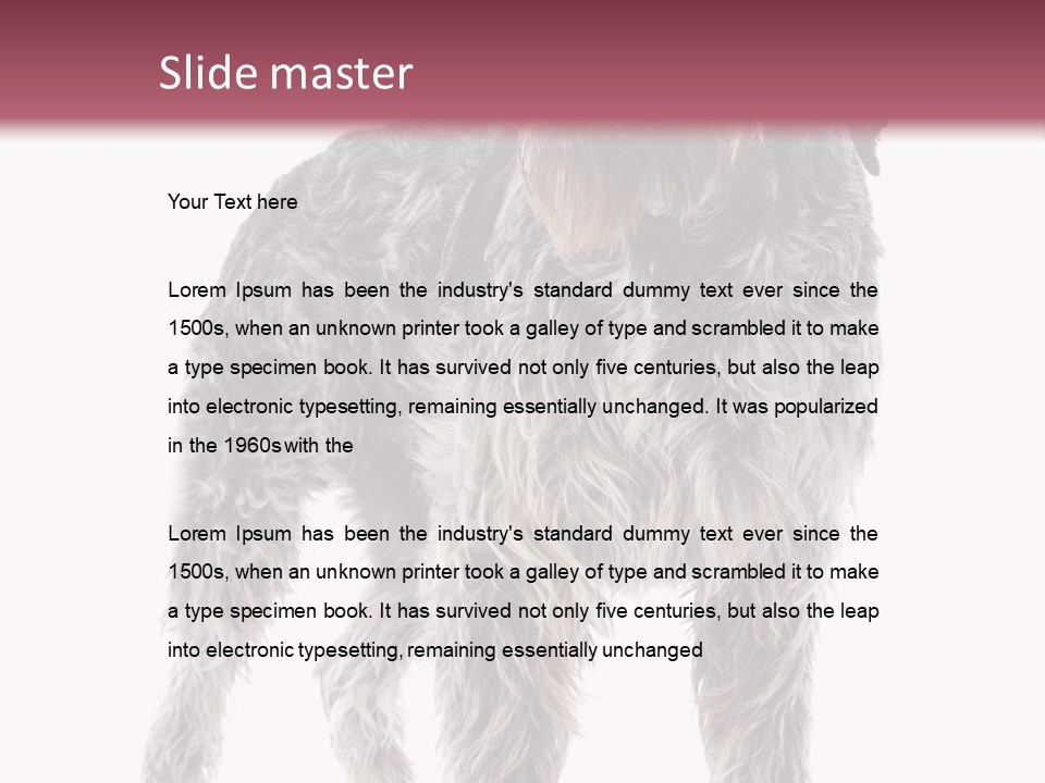 A Dog Standing In Front Of A White Background PowerPoint Template