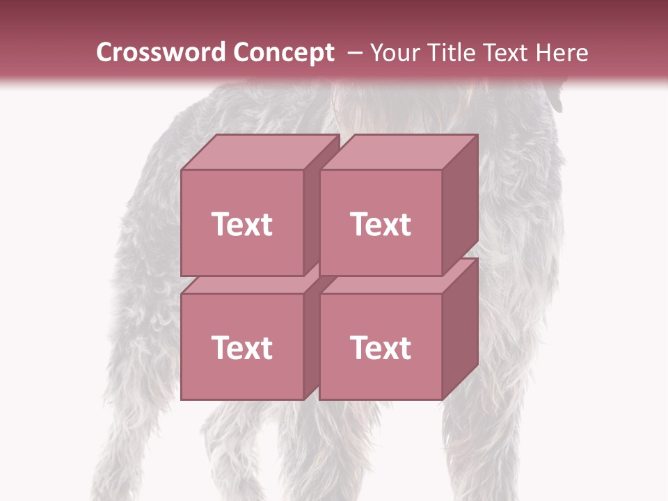 A Dog Standing In Front Of A White Background PowerPoint Template