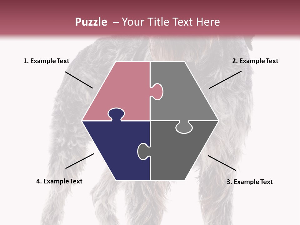 A Dog Standing In Front Of A White Background PowerPoint Template