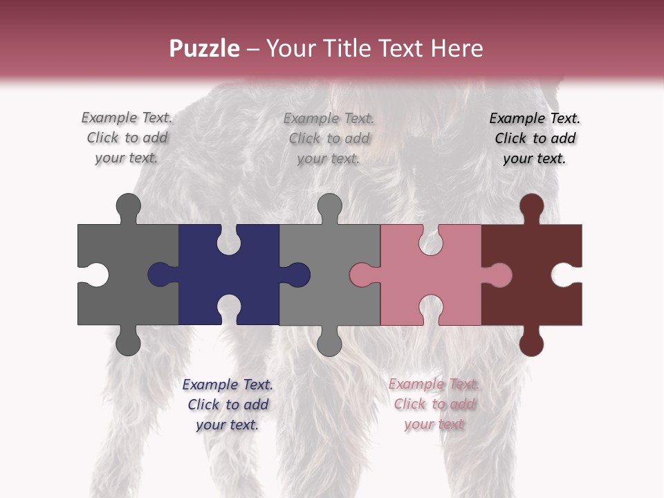 A Dog Standing In Front Of A White Background PowerPoint Template