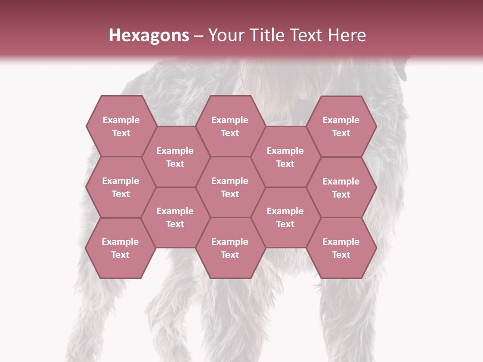 A Dog Standing In Front Of A White Background PowerPoint Template