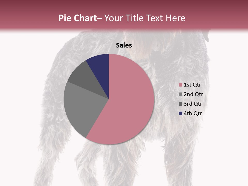 A Dog Standing In Front Of A White Background PowerPoint Template