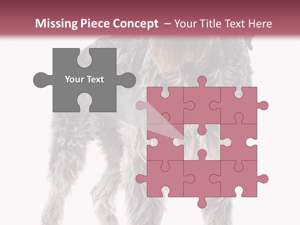 A Dog Standing In Front Of A White Background PowerPoint Template