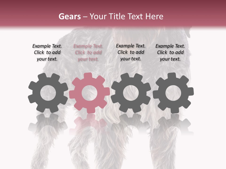 A Dog Standing In Front Of A White Background PowerPoint Template